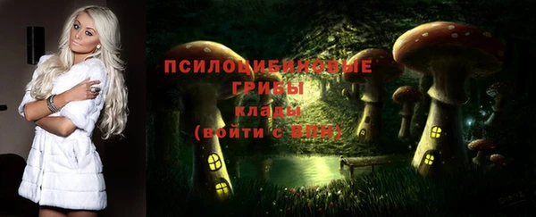 PSILOCYBIN Покачи