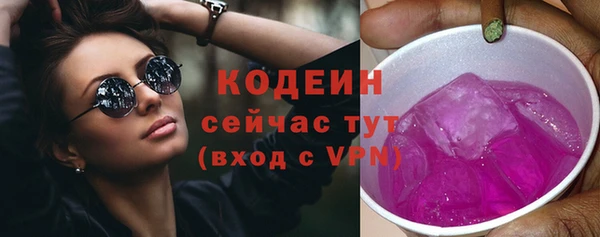 PSILOCYBIN Покачи