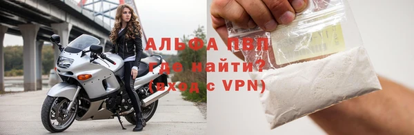 PSILOCYBIN Покачи