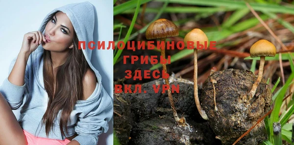 соль курить ск Покров