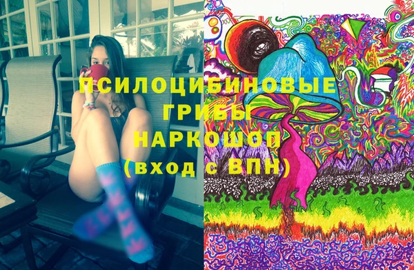 PSILOCYBIN Покачи