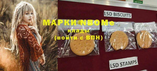 PSILOCYBIN Покачи