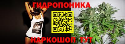 прущие крисы Кандалакша