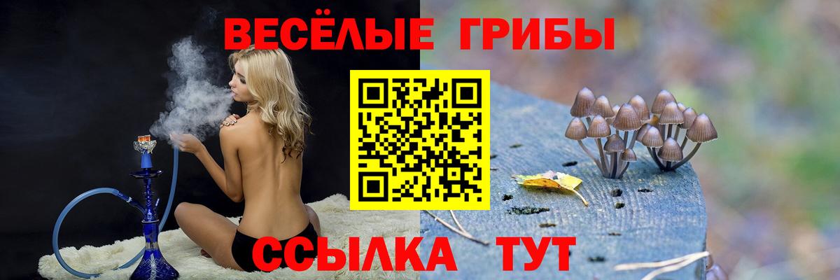 Псилоцибиновые грибы GOLDEN TEACHER  Вход с VPN  Сухой Лог 