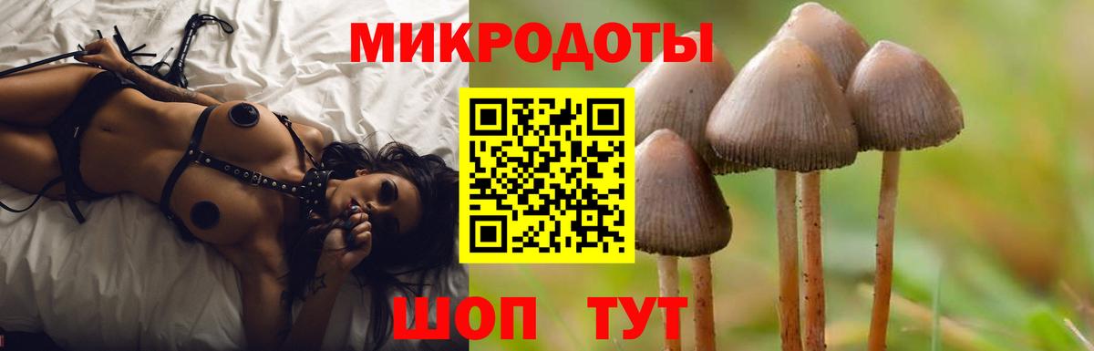 Галлюциногенные грибы мухоморы Сухой Лог
