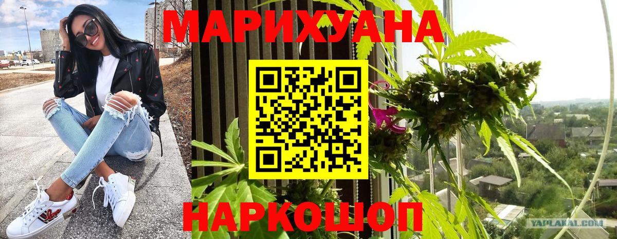 Конопля гибрид Сухой Лог